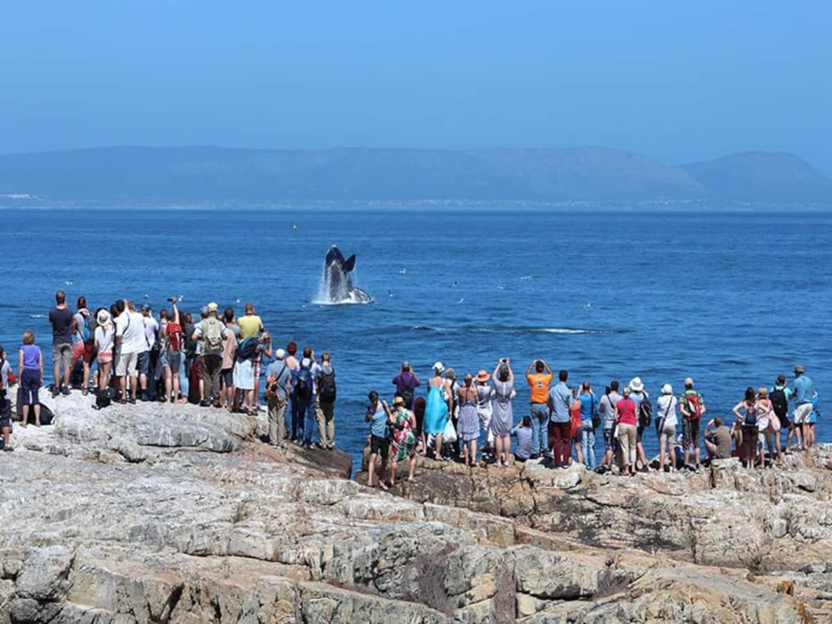 Hermanus Waterfront Apartment Pokoj fotografie